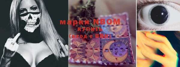 PSILOCYBIN Нязепетровск