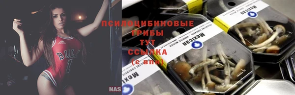 твердый Няндома