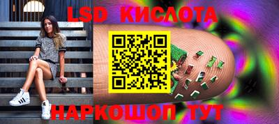 шишки Беслан