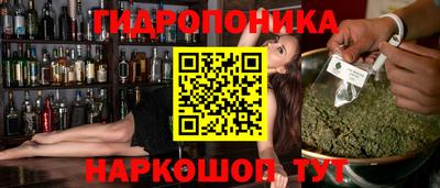 гашик Бийск