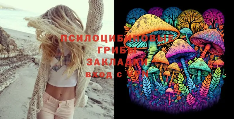 Галлюциногенные грибы Psilocybe  Зима 