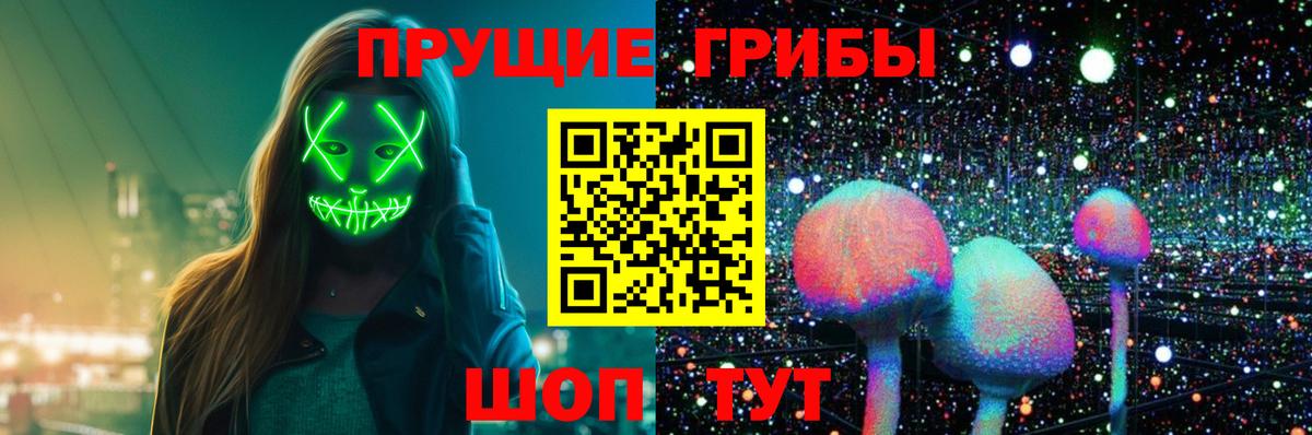 Зима  Галлюциногенные грибы Magic Shrooms  Вход с VPN 